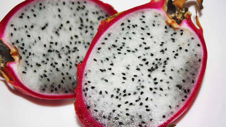 Dragon Fruit (White Fleshed Pitahaya)